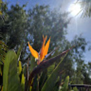 Meet your Posher, Fetty